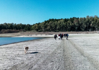 Trekking costeggiando la diga di San Giuliano